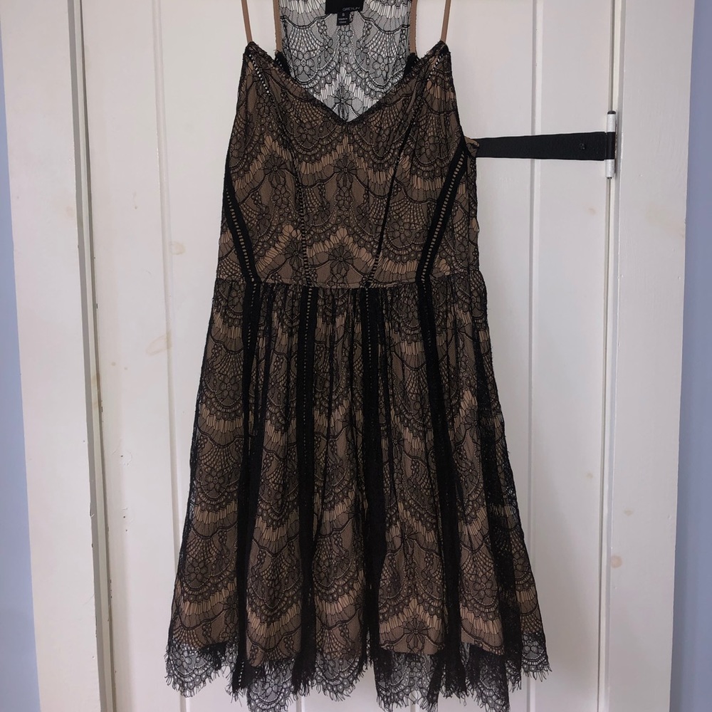 GREYLIN Lit Boutique Black/Tan Fit and Flare Dress